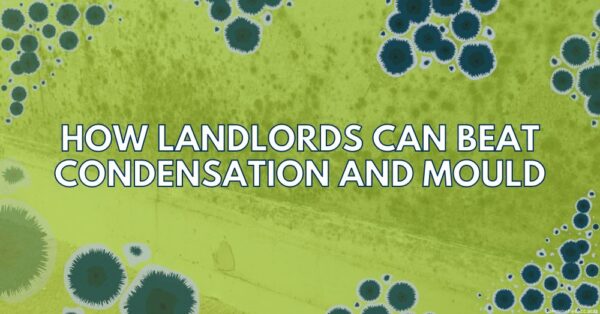 How Landlords Can Beat Condensation and Mould