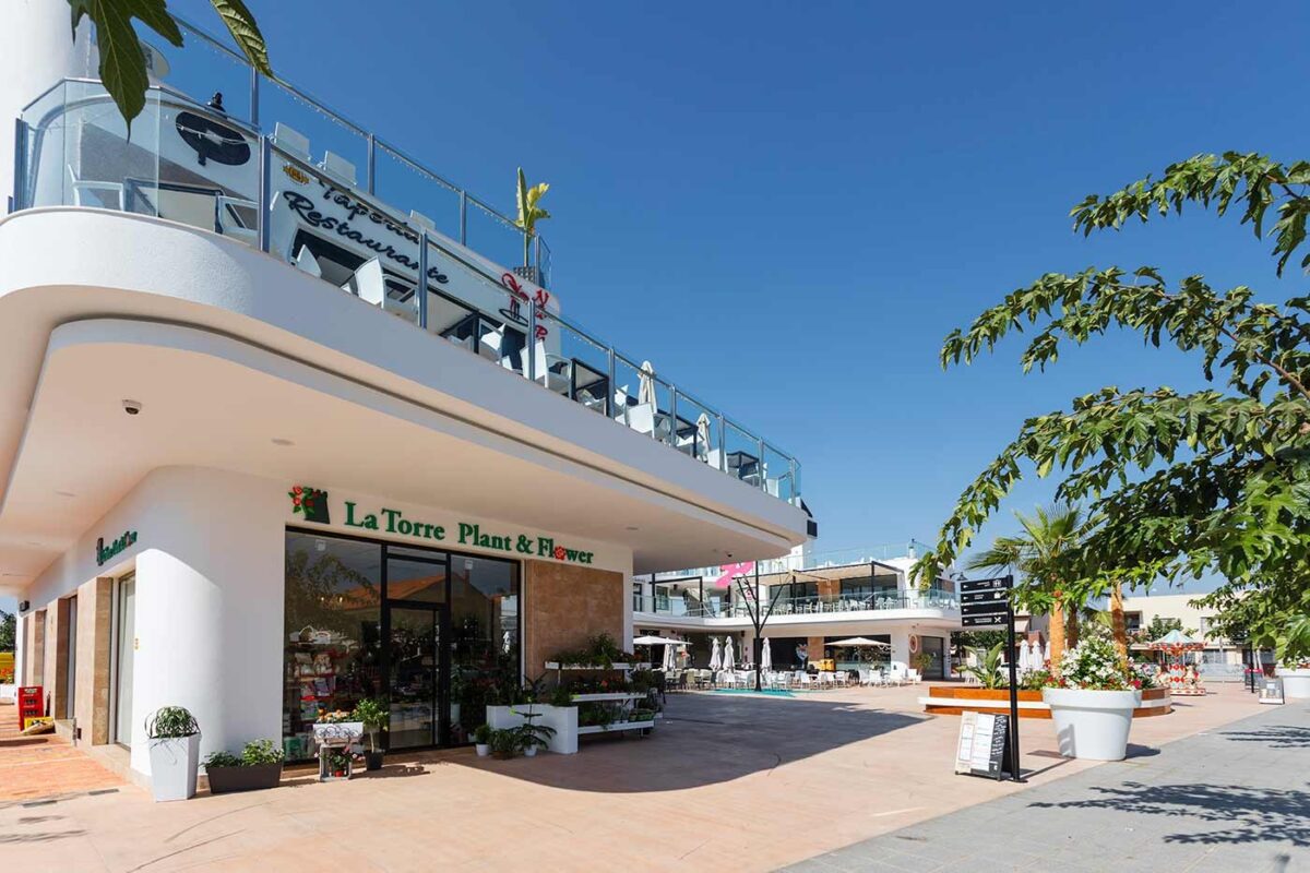 Mil Palmeras