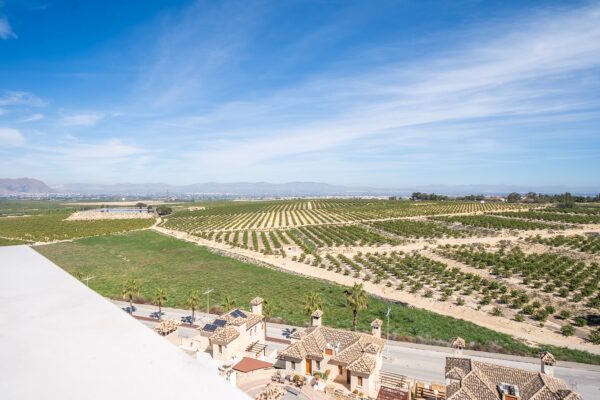 La Finca golf resort