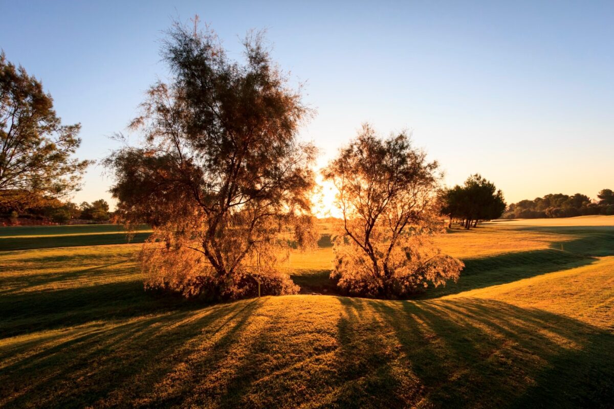 Lo Romero golf resort