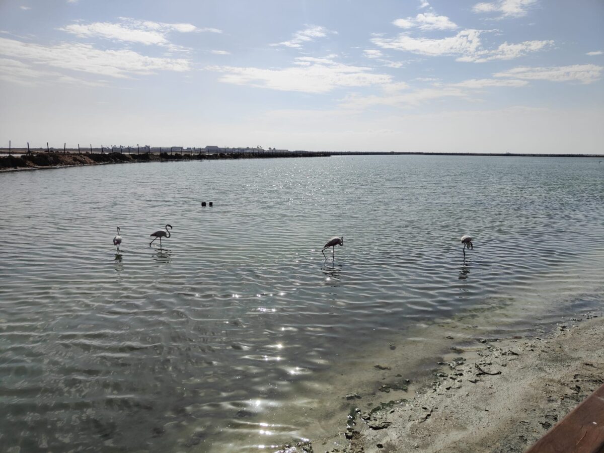 San Pedro del Pinatar