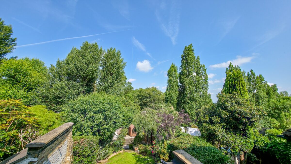 Red Lion Lane, Shooters Hill, SE18