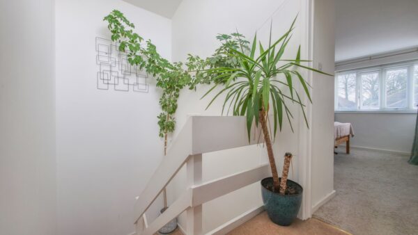 Cleanthus Road, Shooters Hill, London, SE18