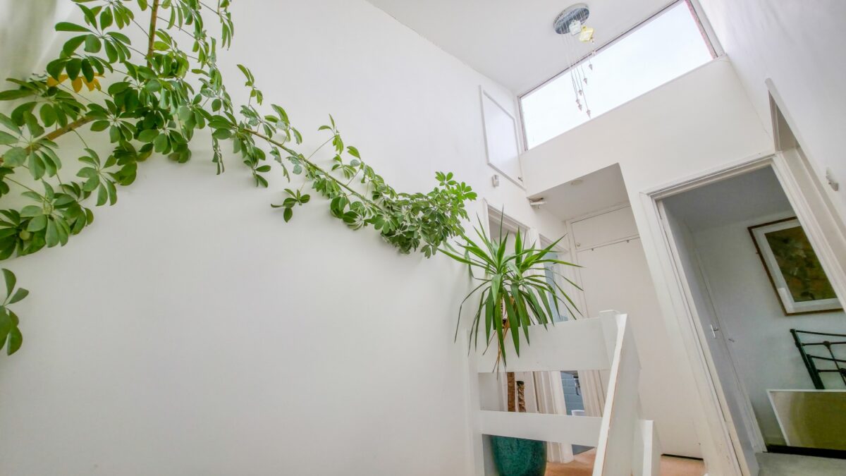 Cleanthus Road, Shooters Hill, London, SE18