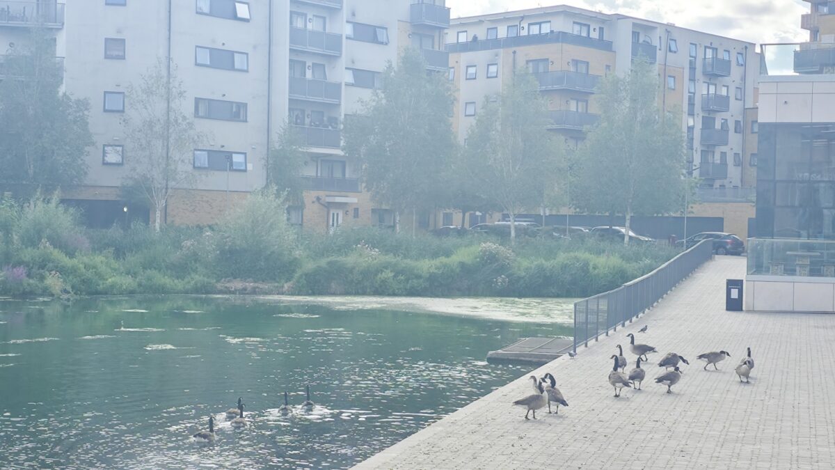 Starling Court, 1 Nest Way, Abbey Wood, SE2
