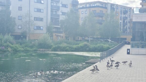 Starling Court, 1 Nest Way, Abbey Wood, SE2