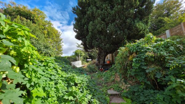 Sandy Hill Road, London, SE18